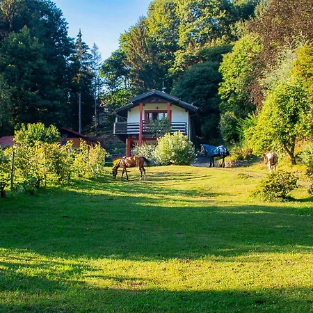 Apartmán Sorti Alpaca Luino