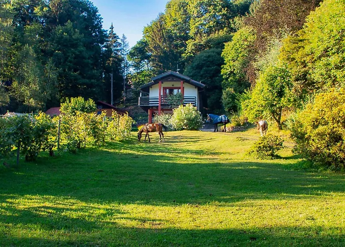 Apartmán Sorti Alpaca Luino